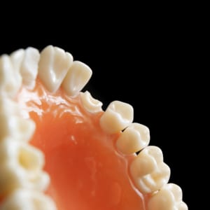 What is dentistry