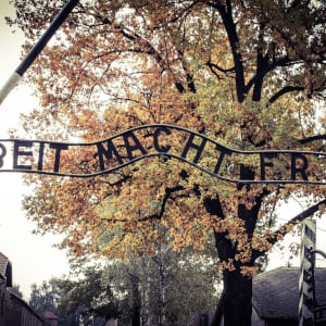 Auschwitz