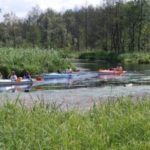 Masuria