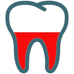 Dentists in Poland